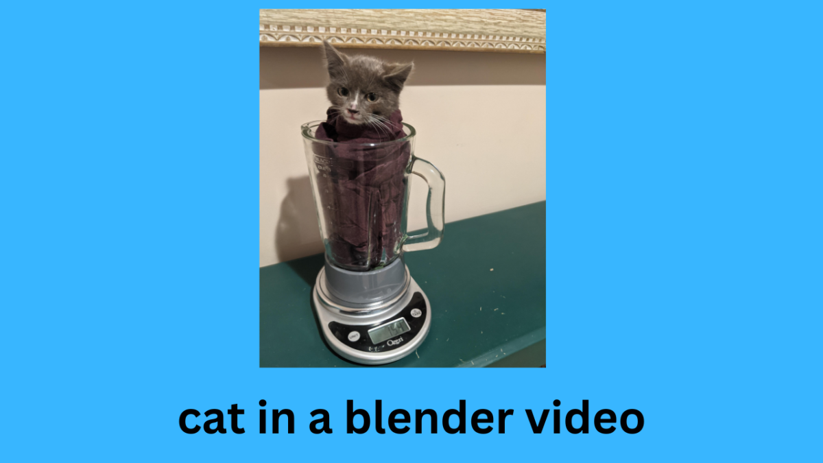 know the real story of cat blender who made the cat in blender